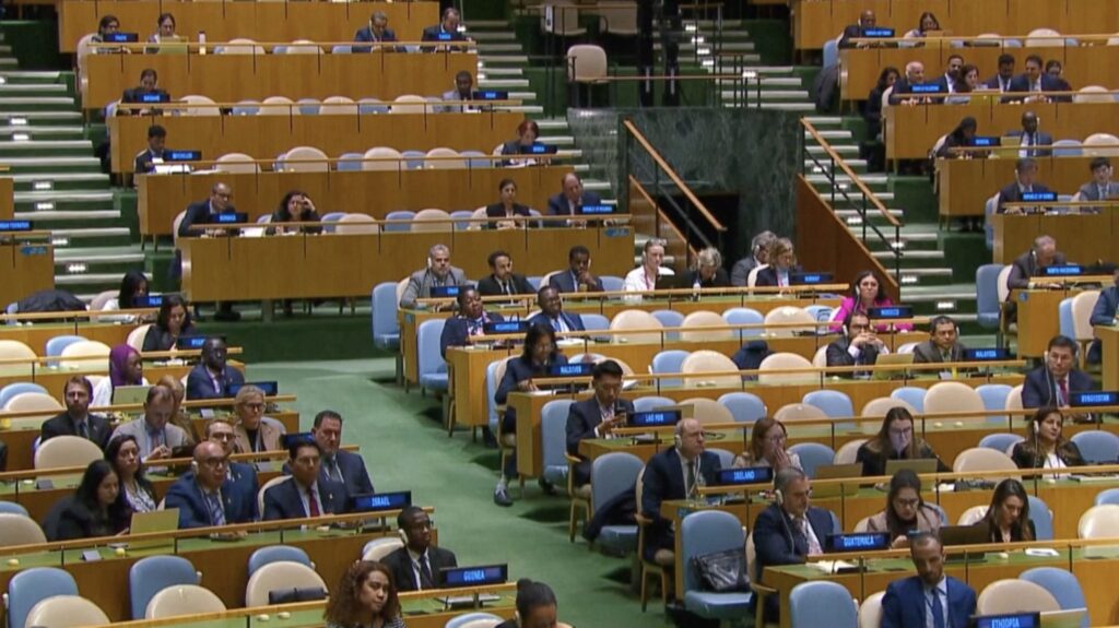 Voting in the UN General Assembly (Screenshot)